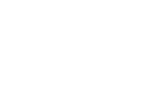 Neuman & Esser